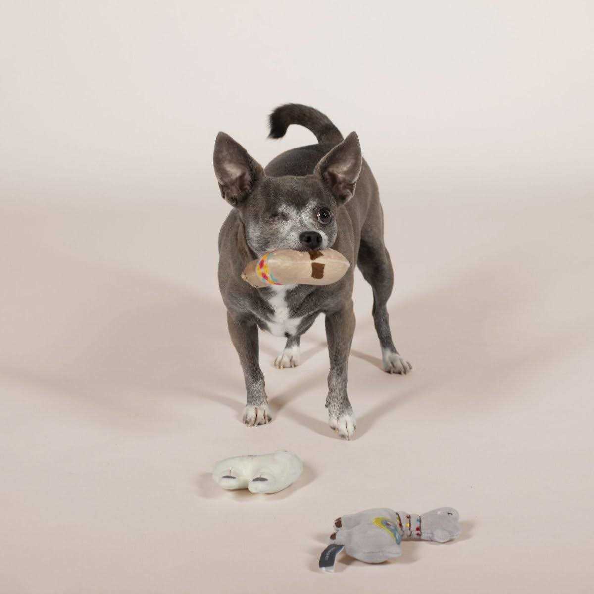 Small Dog Toy Set I809660