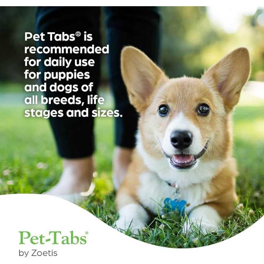 Pet Tabs for Dogs X4318