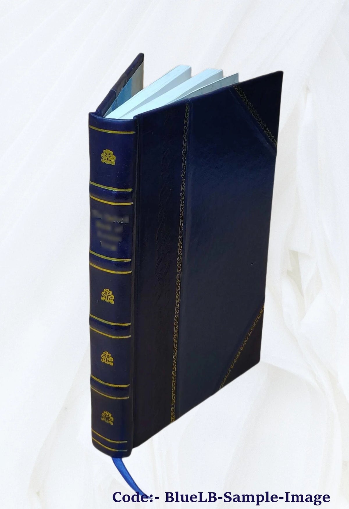 Leather Bound Book N6234