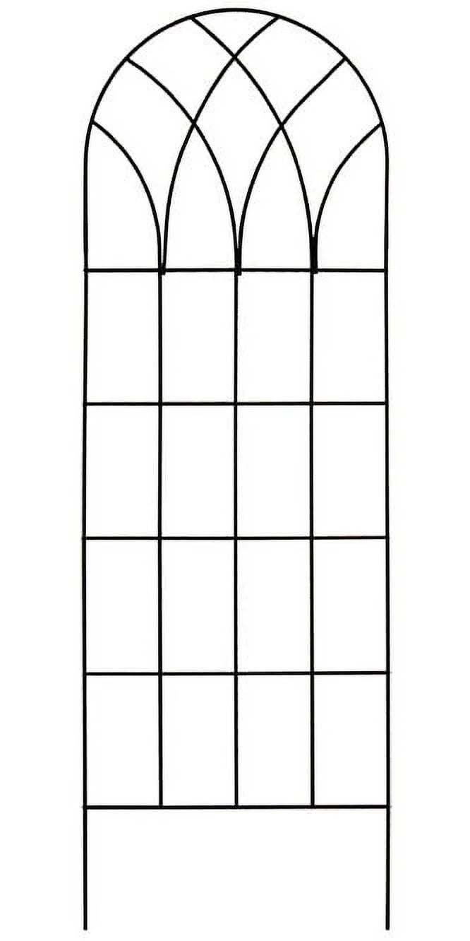 Black Trellis Y681516