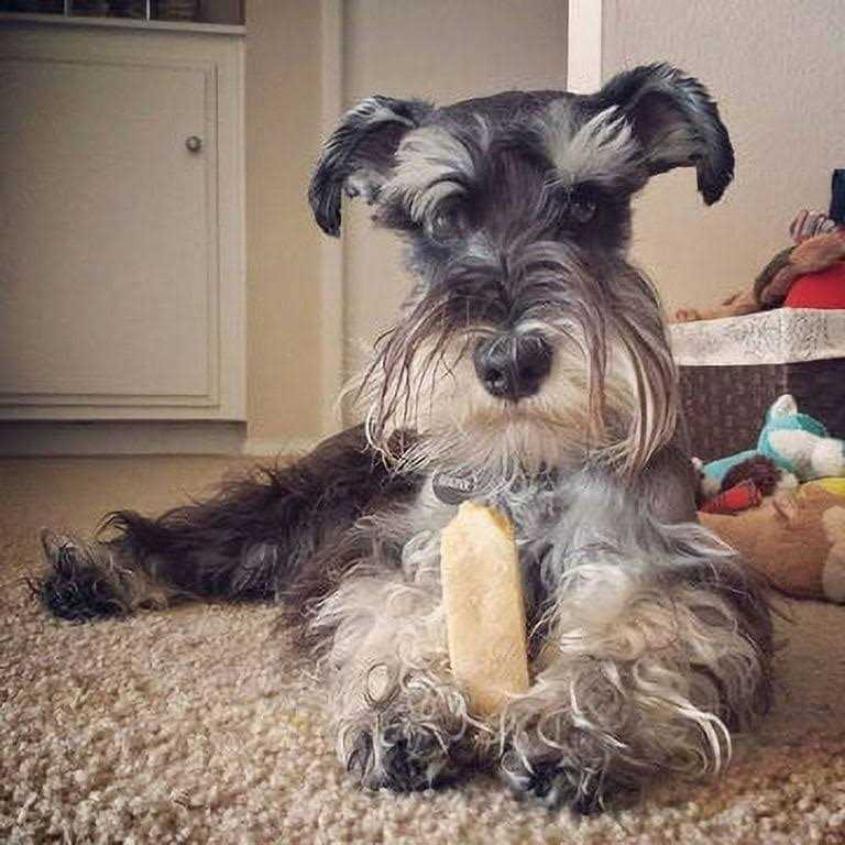Yak Cheese Dog Chews G871