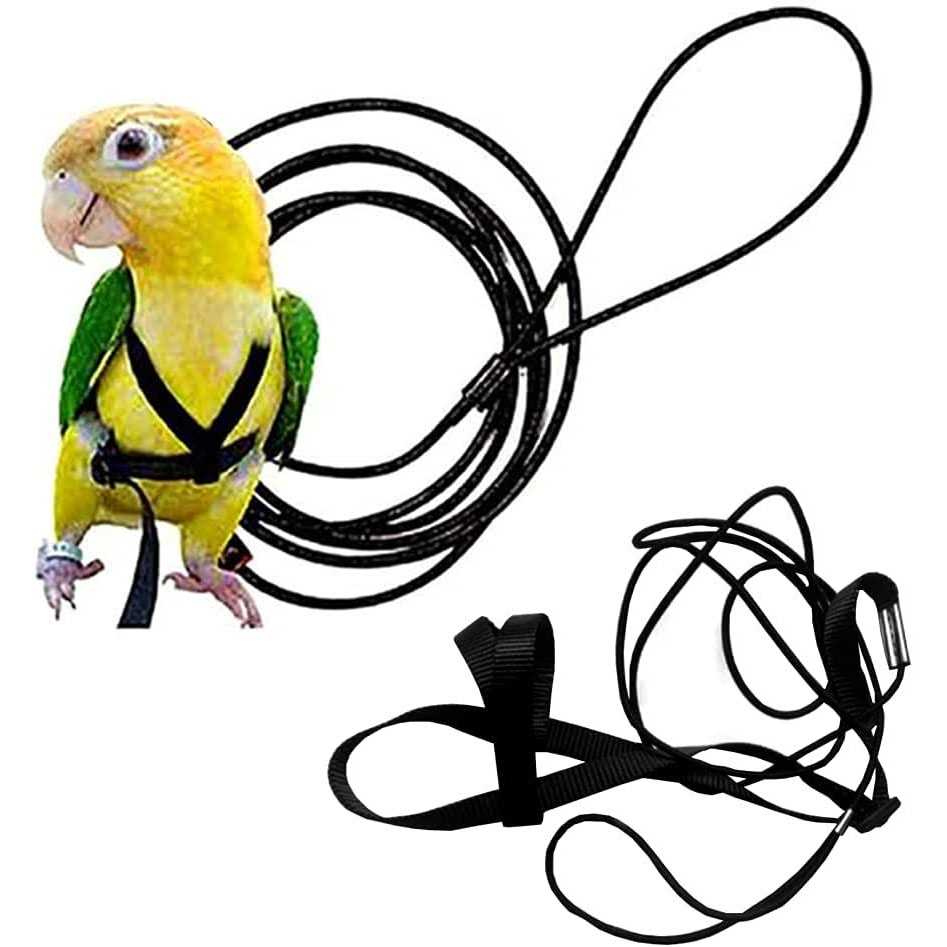 Adjustable Bird Harness and Leash N80590