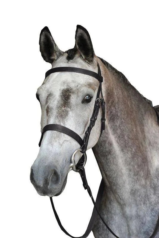 Black Cavesson Bridle H376