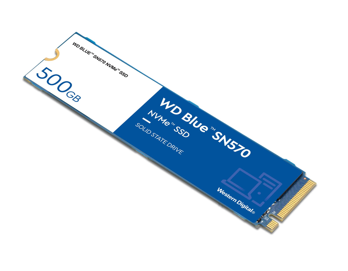 500GB NVMe SSD P131002