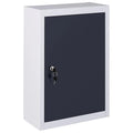 Wall Mounted Metal Tool Cabinet with Adjustable Shelf and Lockable Door K9242