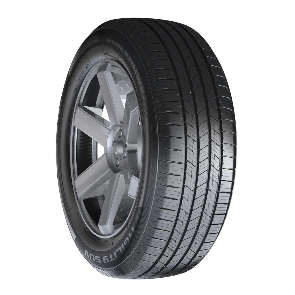 255/55R20 All Season SUV/Crossover Tire D160285