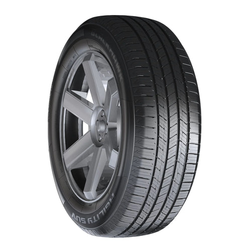 255/55R20 All Season SUV/Crossover Tire D160285