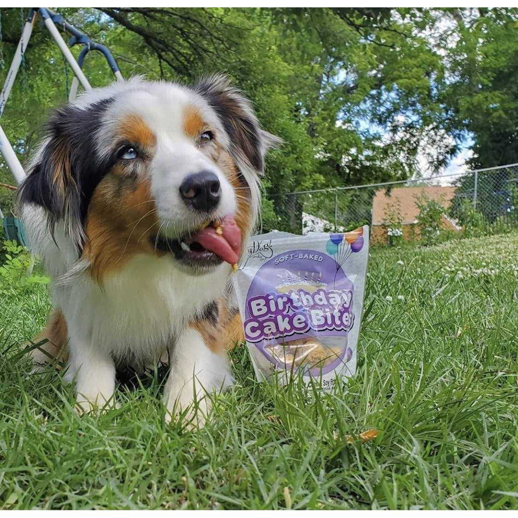 Birthday Cake Bites Dog Treats J92652