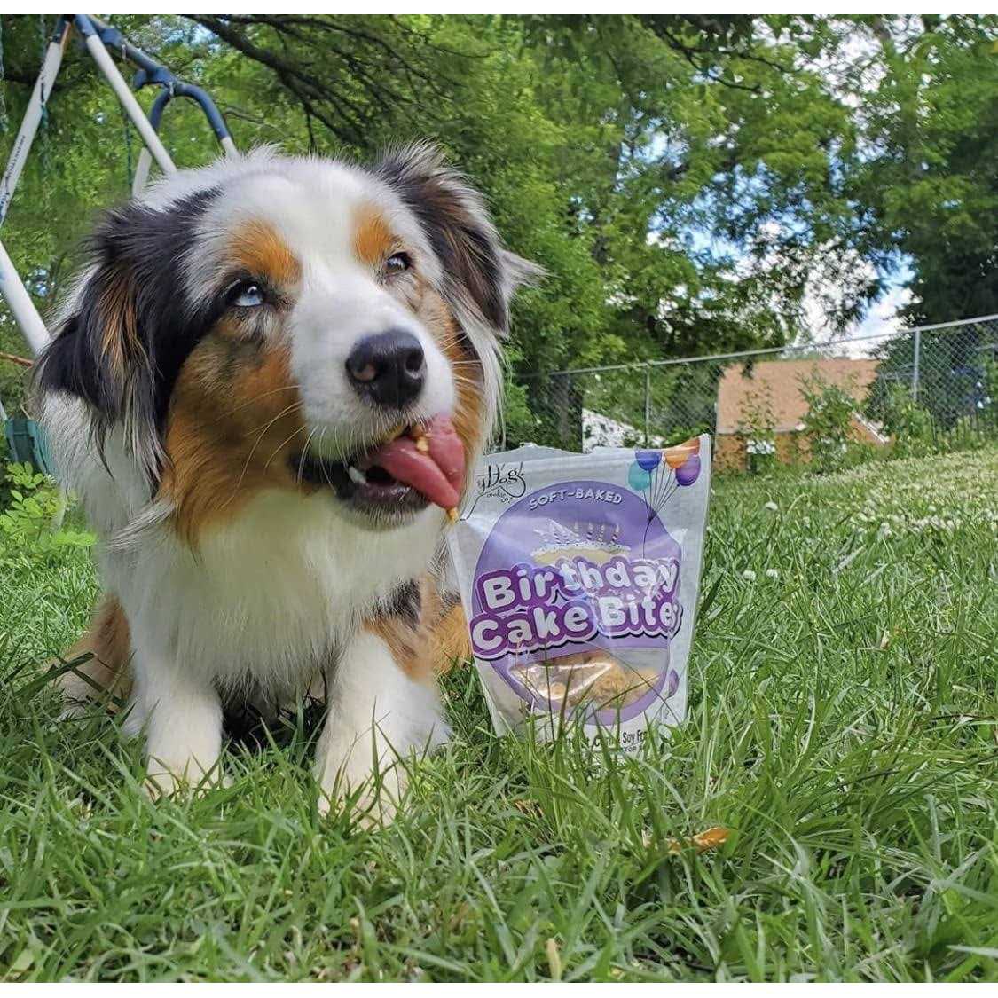 Birthday Cake Bites Dog Treats J92652