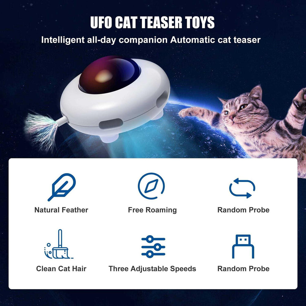 Interactive Cat Toy Z4788