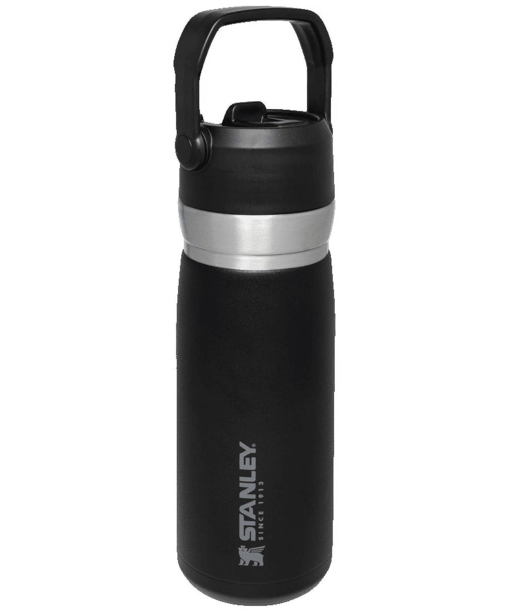 22 oz Insulated Stainless Steel Water Bottle with Straw and Flip-Top Lid S59490
