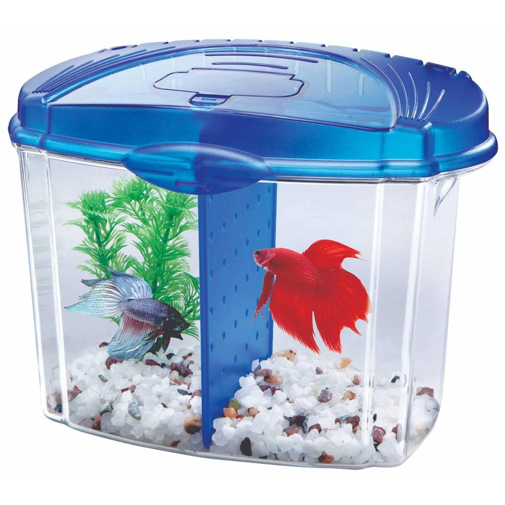 Betta Bowl Kit G396011