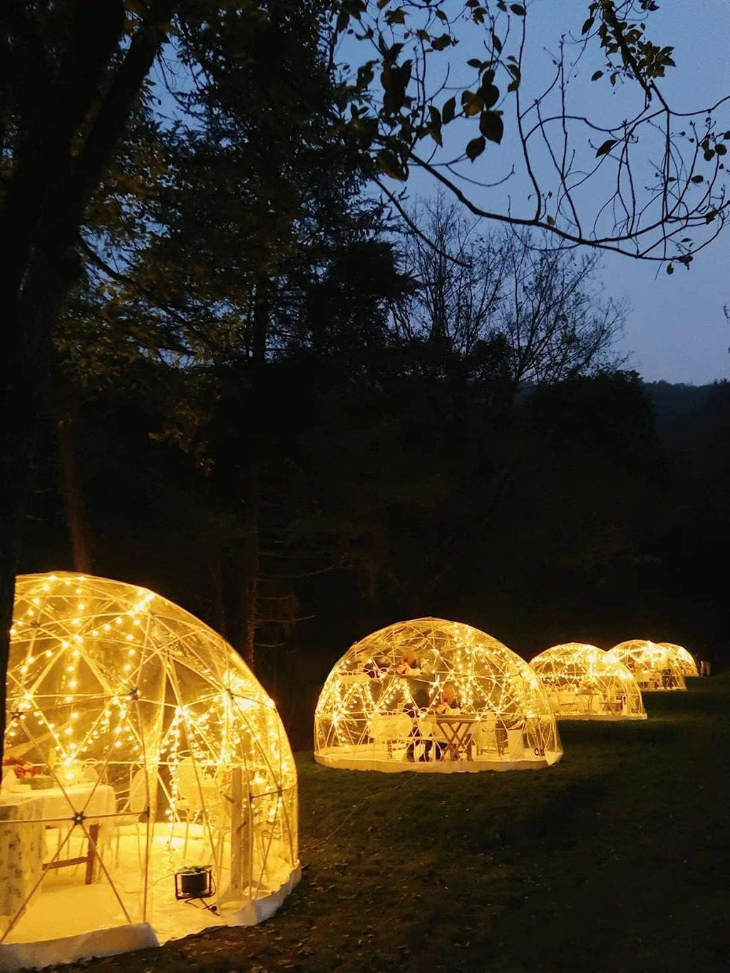 12ft Clear Geodesic Dome Tent D275942