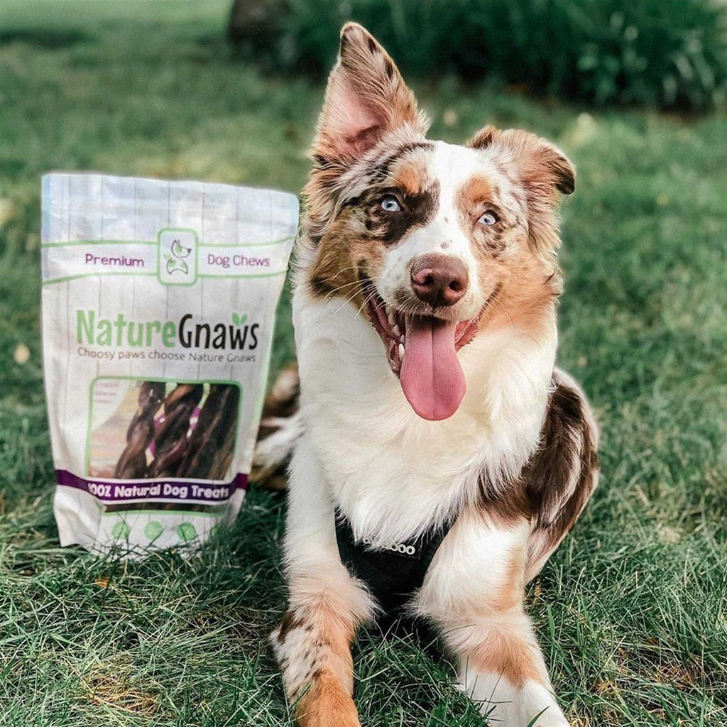 Braided Bully Sticks for Dogs Natural Beef Bones E65570