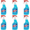 Glass Cleaner Trigger, 6 ct, 23 fl oz P574002