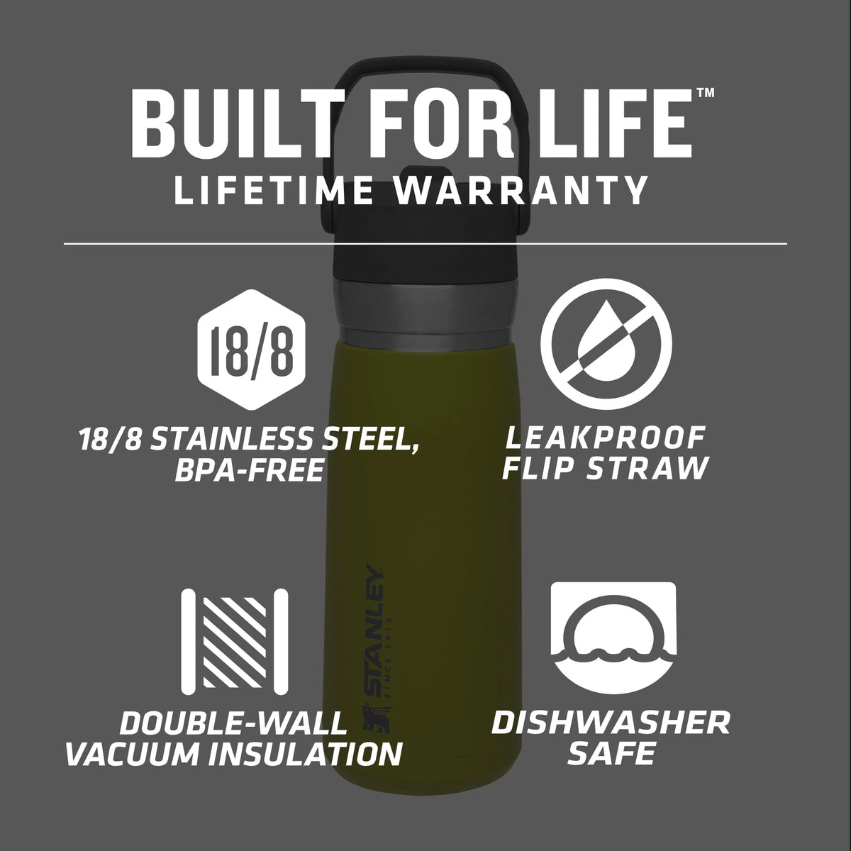 22 oz Insulated Stainless Steel Water Bottle with Straw and Flip-Top Lid S59490