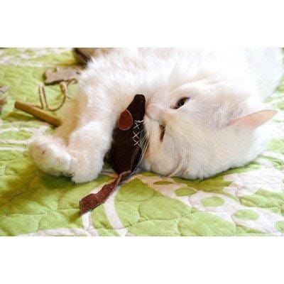 Lizard Olive Leather Dog Collar 1 inch x 18 inch W85714