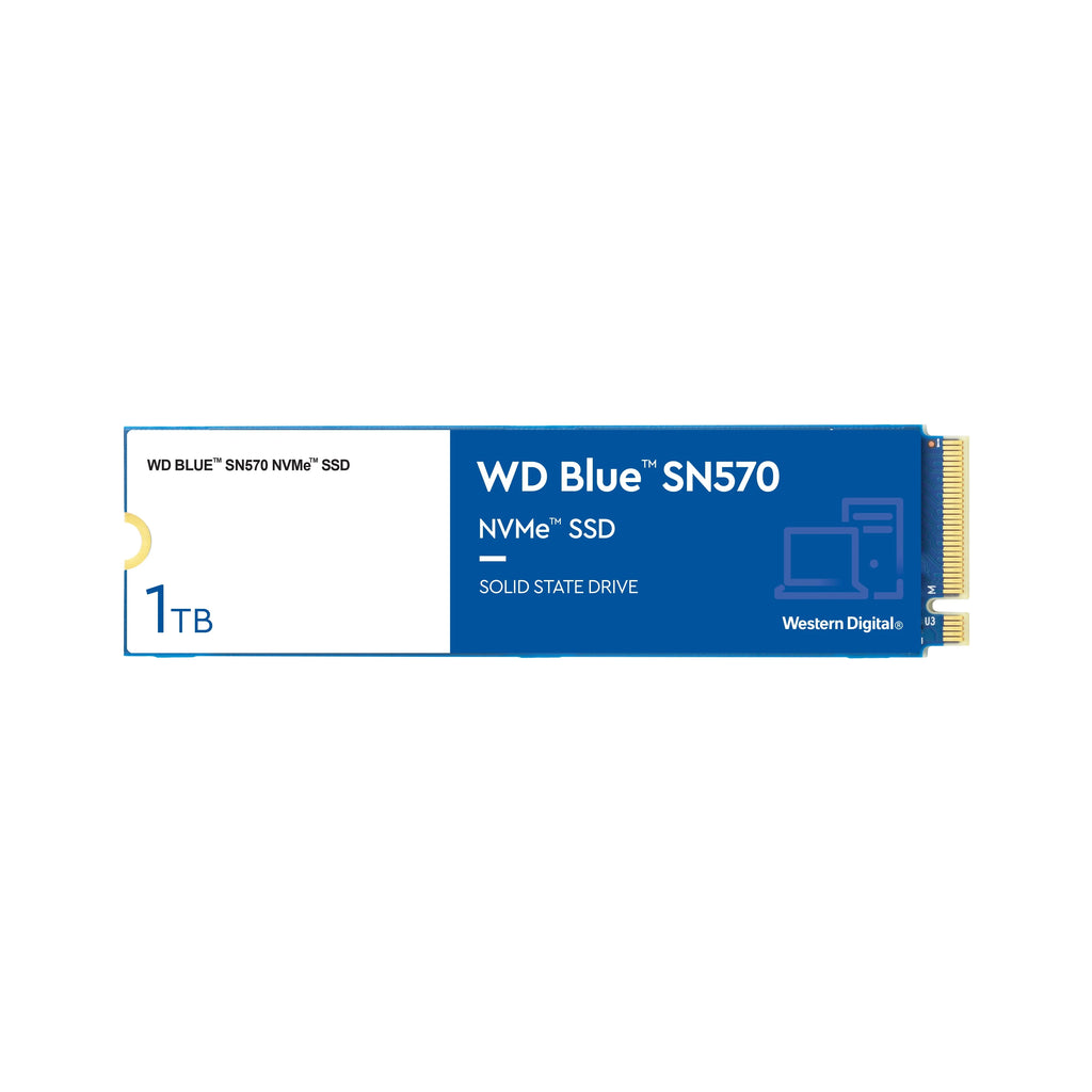 500GB NVMe SSD P131002