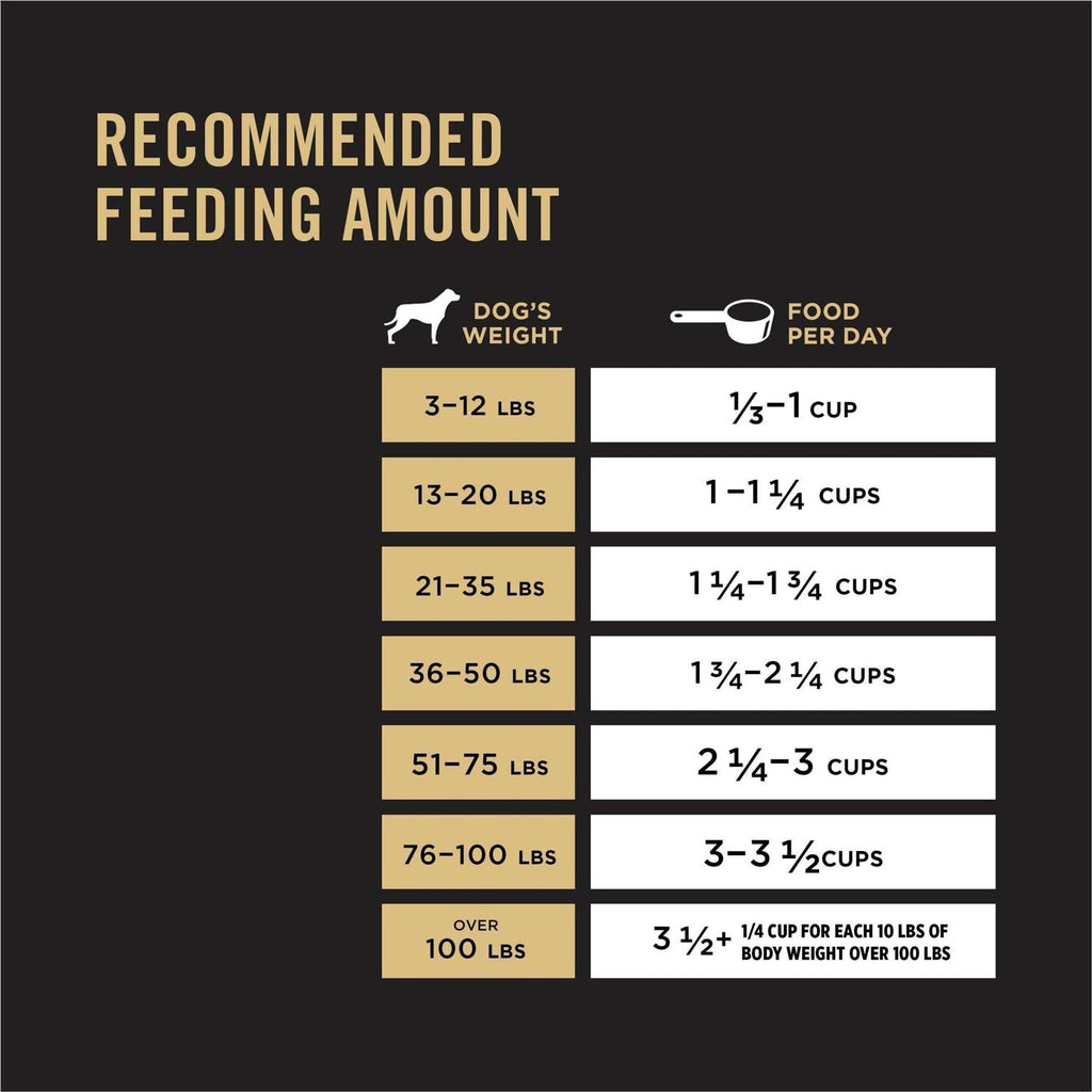 Dry Dog Food U94708