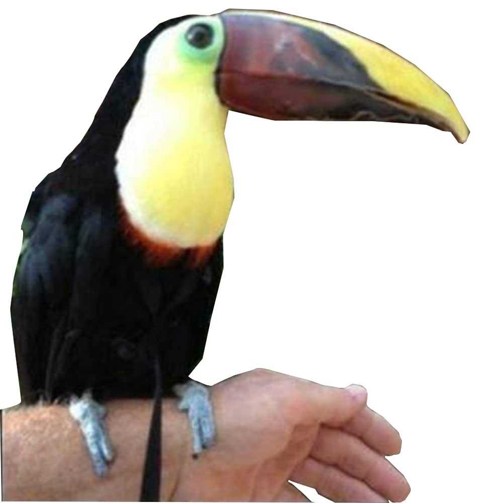 Adjustable Bird Harness and Leash N80590
