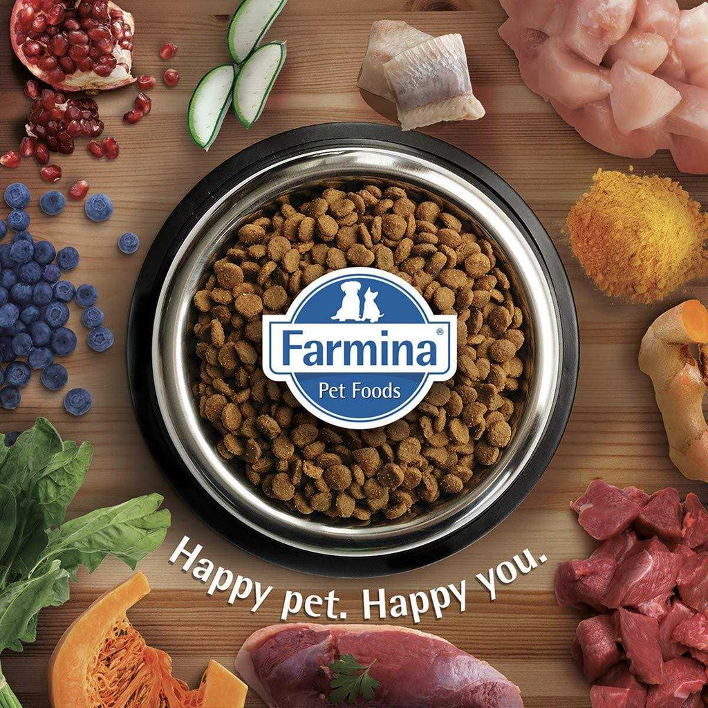 Chicken & Pomegranate Medium & Maxi Adult Dry Dog Food M87175