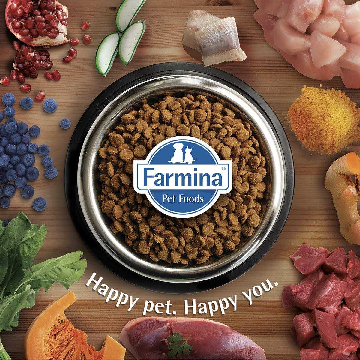 Chicken & Pomegranate Medium & Maxi Adult Dry Dog Food M87175