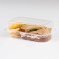 Clear Plastic Hinged Locking Lid Food Container A44471
