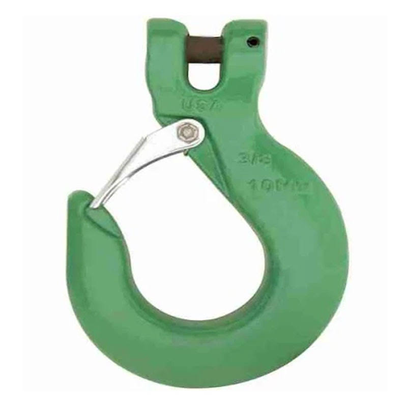 3/4in Grade 100 Sling Hook with Latch D636739
