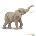 African Elephant P495