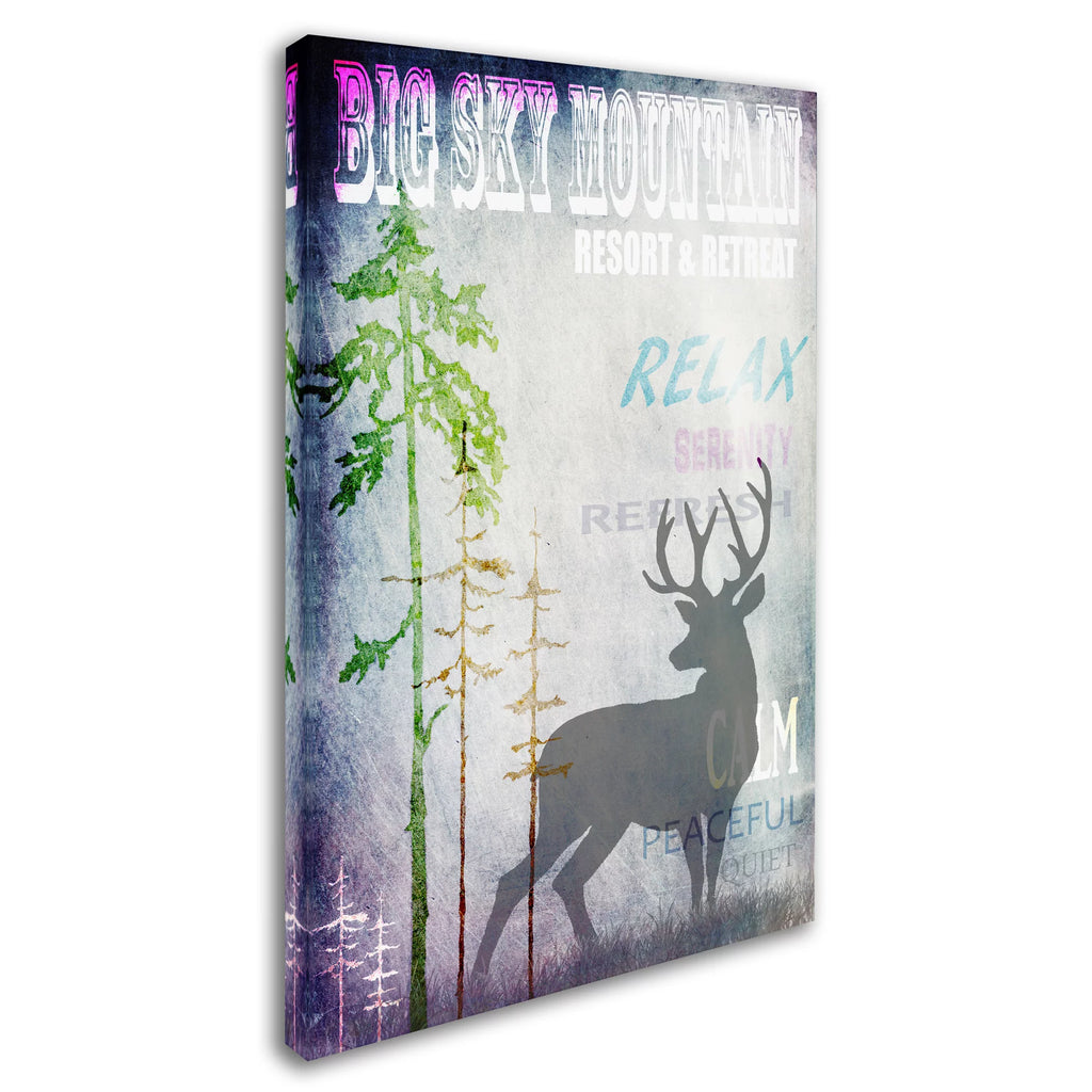 Big Sky Mountain Canvas Art U35385