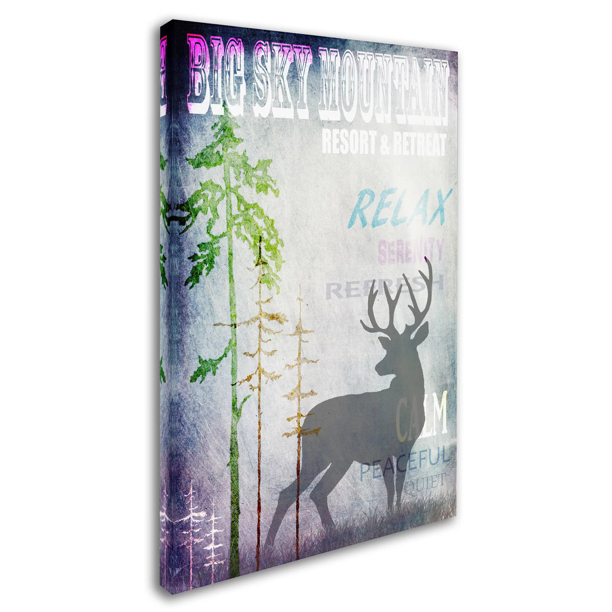 Big Sky Mountain Canvas Art U35385