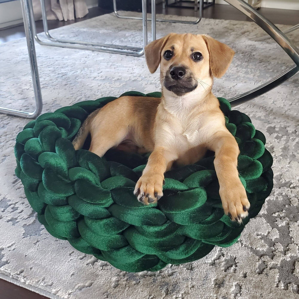 Velvet Dog or Cat Pet Bed K577