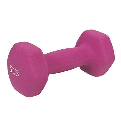 Neoprene Coated Hex Dumbbell Sold in Pairs V7346