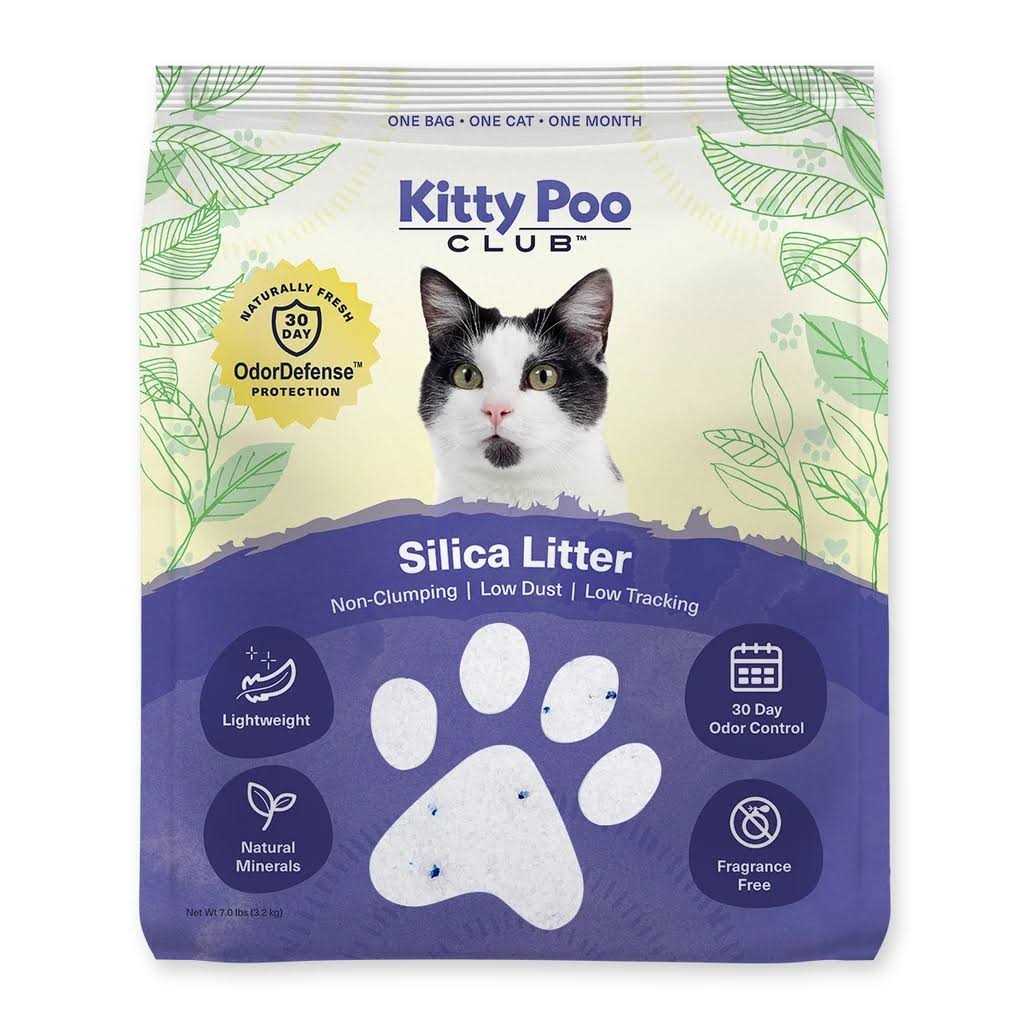 Silica Litter with Disposable Cat Litter Box F754814
