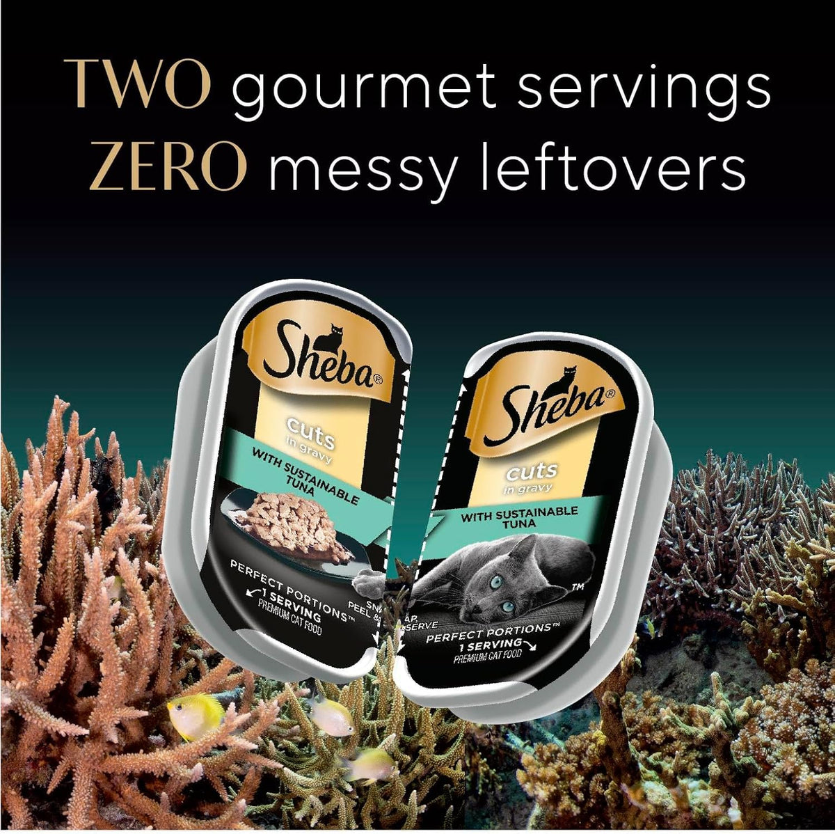 24 Count Wet Cat Food Trays, Salmon Trout Tuna Entrée Variety Pack S348