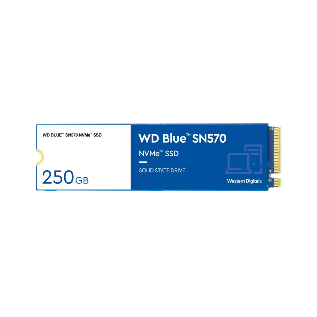500GB NVMe SSD P131002