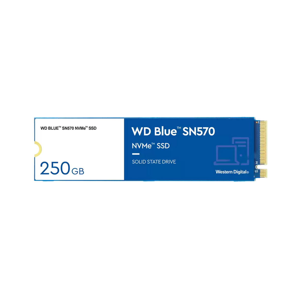 500GB NVMe SSD P131002
