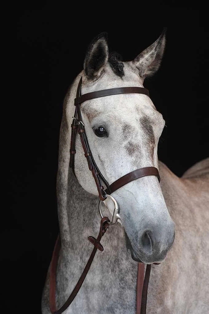 Black Cavesson Bridle H376