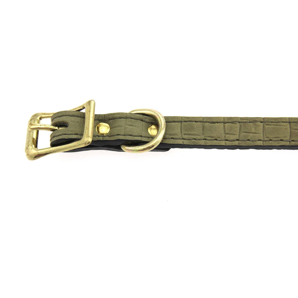 Lizard Olive Leather Dog Collar 1 inch x 18 inch W85714