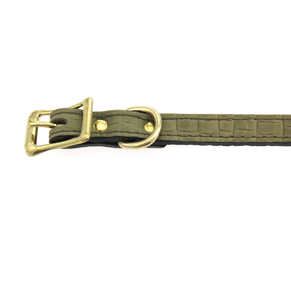 Lizard Olive Leather Dog Collar 1 inch x 18 inch W85714
