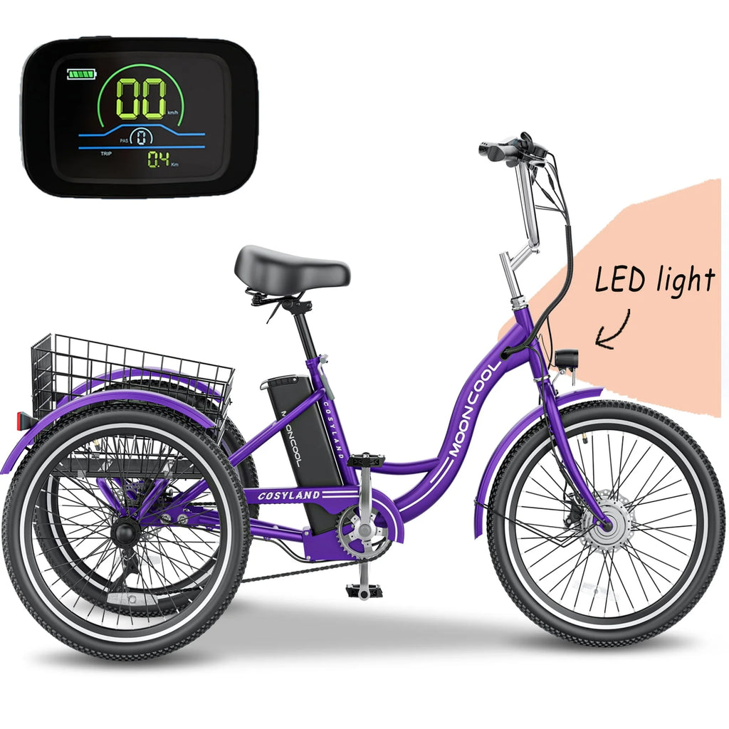 Electric Tricycle with Removable Lithium Battery C7674