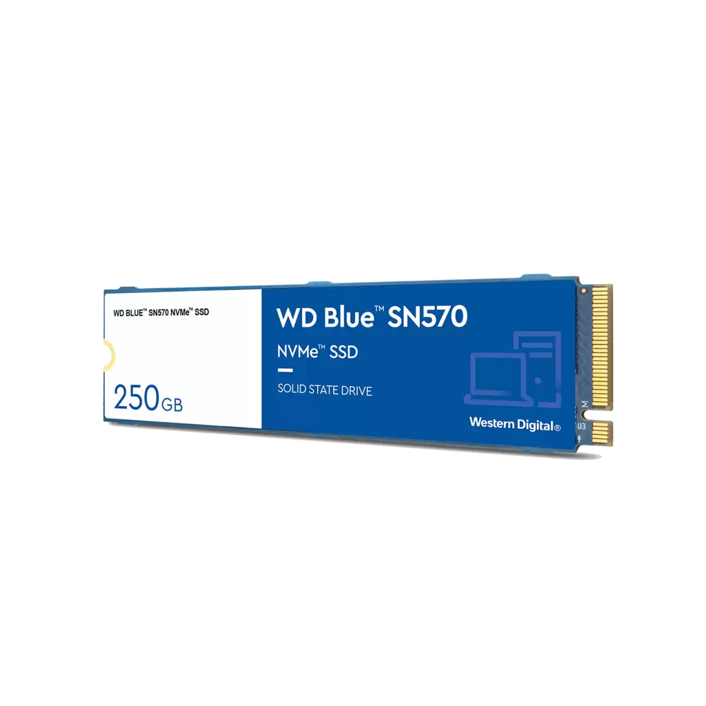 500GB NVMe SSD P131002
