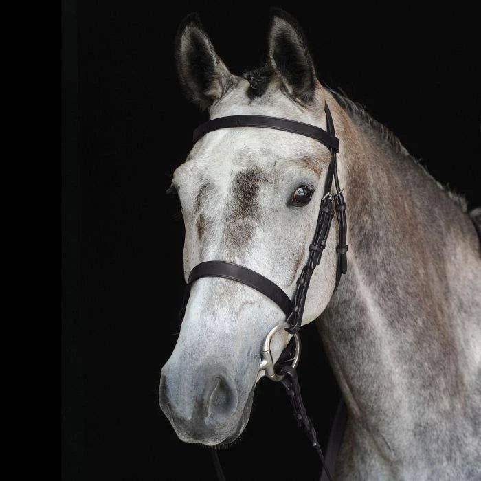 Black Cavesson Bridle H376