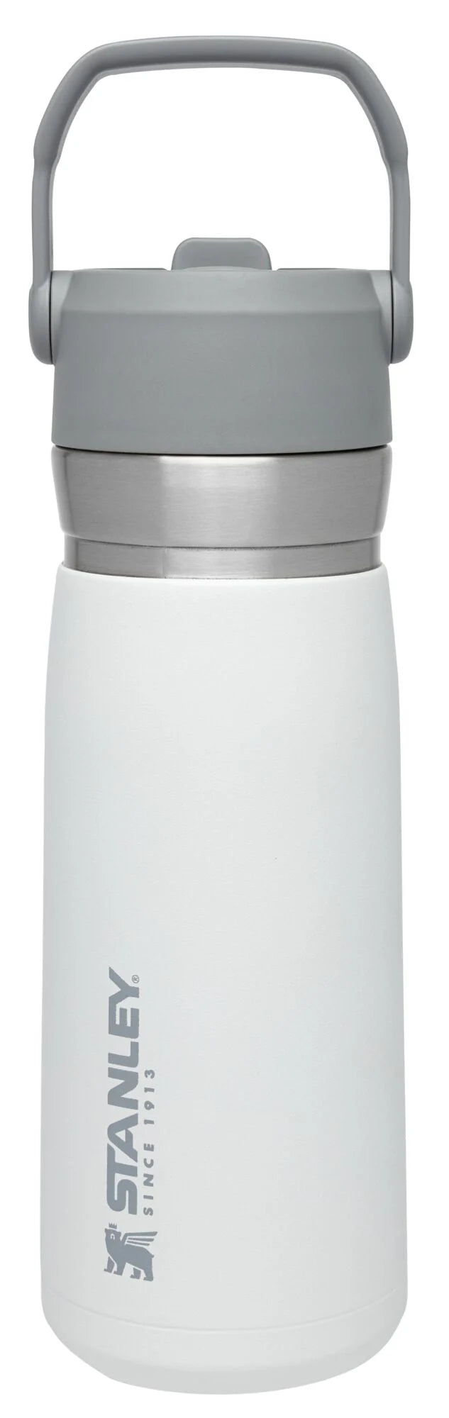 22 oz Insulated Stainless Steel Water Bottle with Straw and Flip-Top Lid S59490