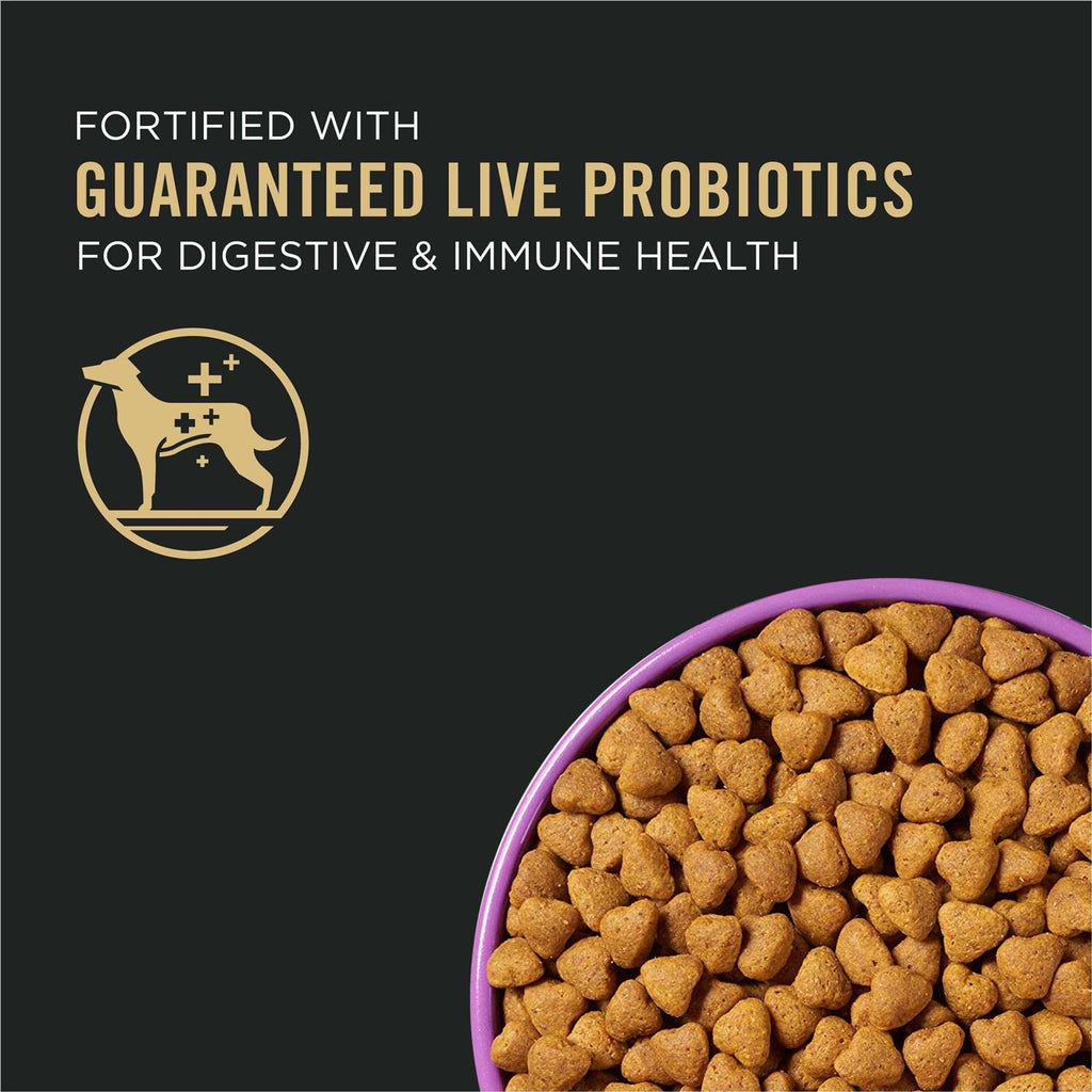 Dry Dog Food U94708