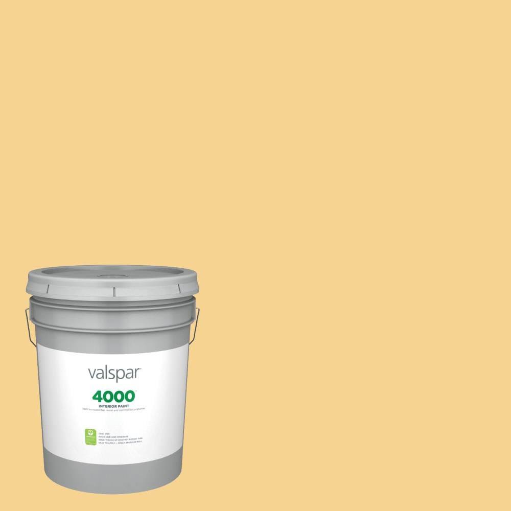 Eggshell Interior Paint (5-Gallon) F521