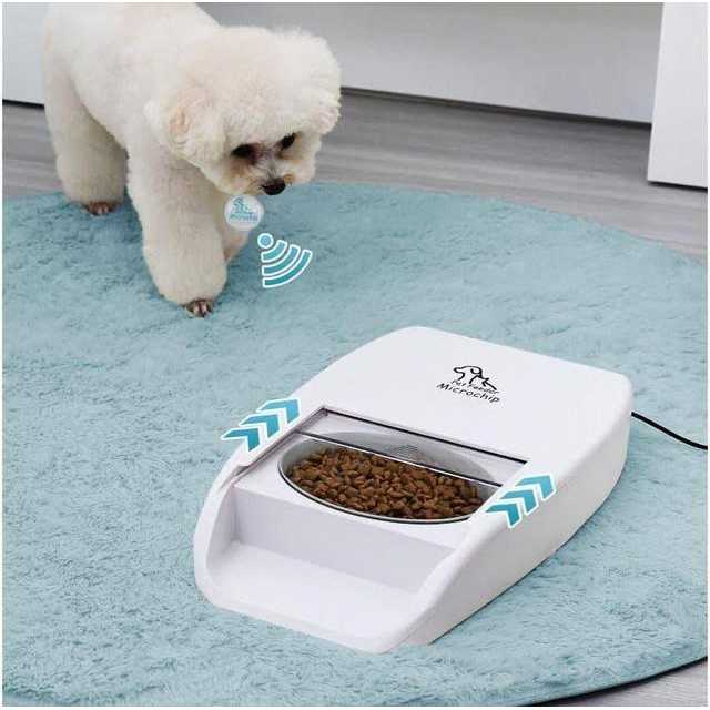 Automatic Microchip Pet Feeder Q571