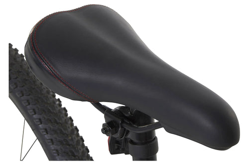 24-Inch BMX Bike A74124