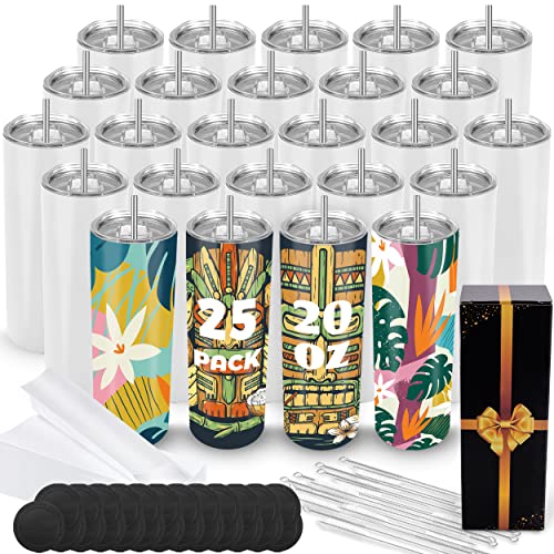 20 oz 10 Pack Stainless Steel Insulated Sublimation Tumblers with Lid and Straw R171531
