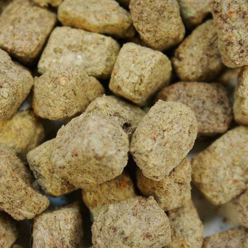 Freeze Dried Brine Shrimp C598886